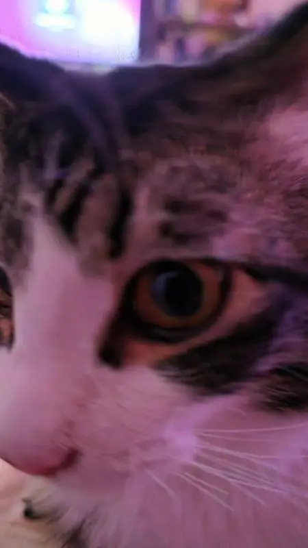 ai character: Rich x Poor background