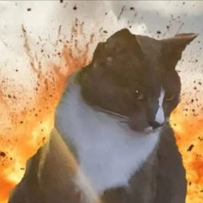 chat with ai character: catsvsbombs