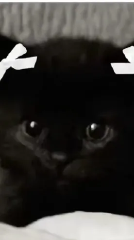 ai character: Your cat stormy background
