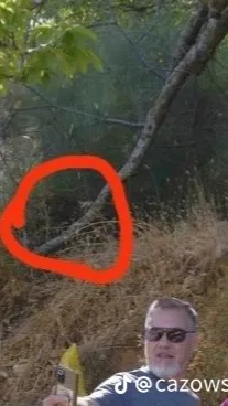 ai character: Ddd background