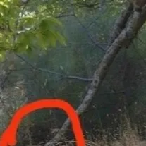 chat with ai character: Ddd