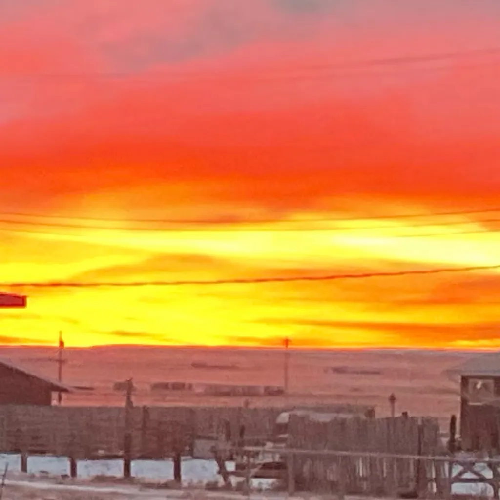 chat with ai character: Claire andzipandme