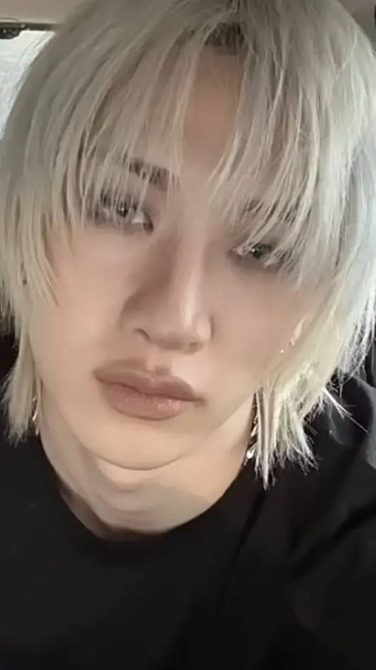 ai character: Bang Chan background