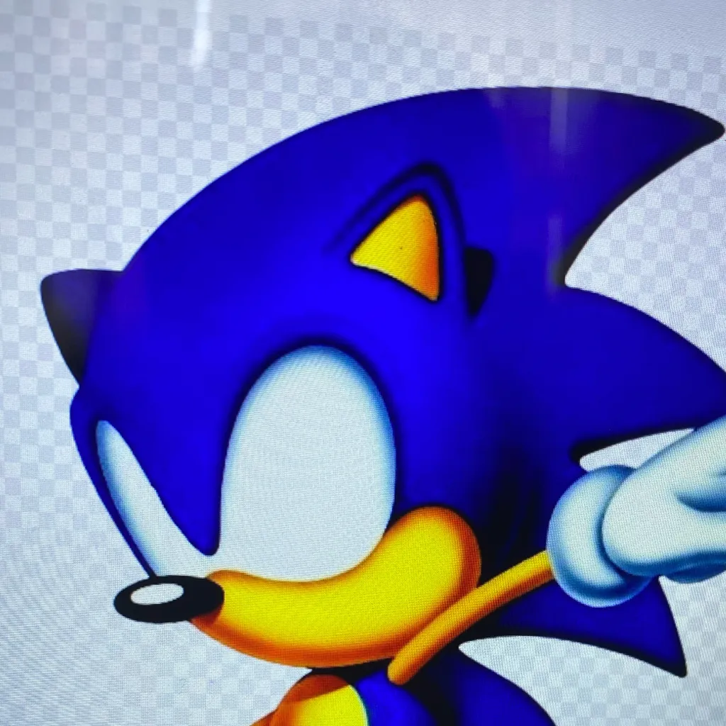 chat with ai character: Sonic hijacked