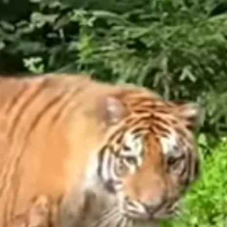 chat with ai character: Daniel