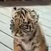 chat with ai character: Daniel