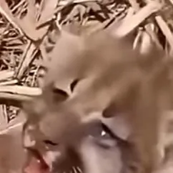 chat with ai character: Kai