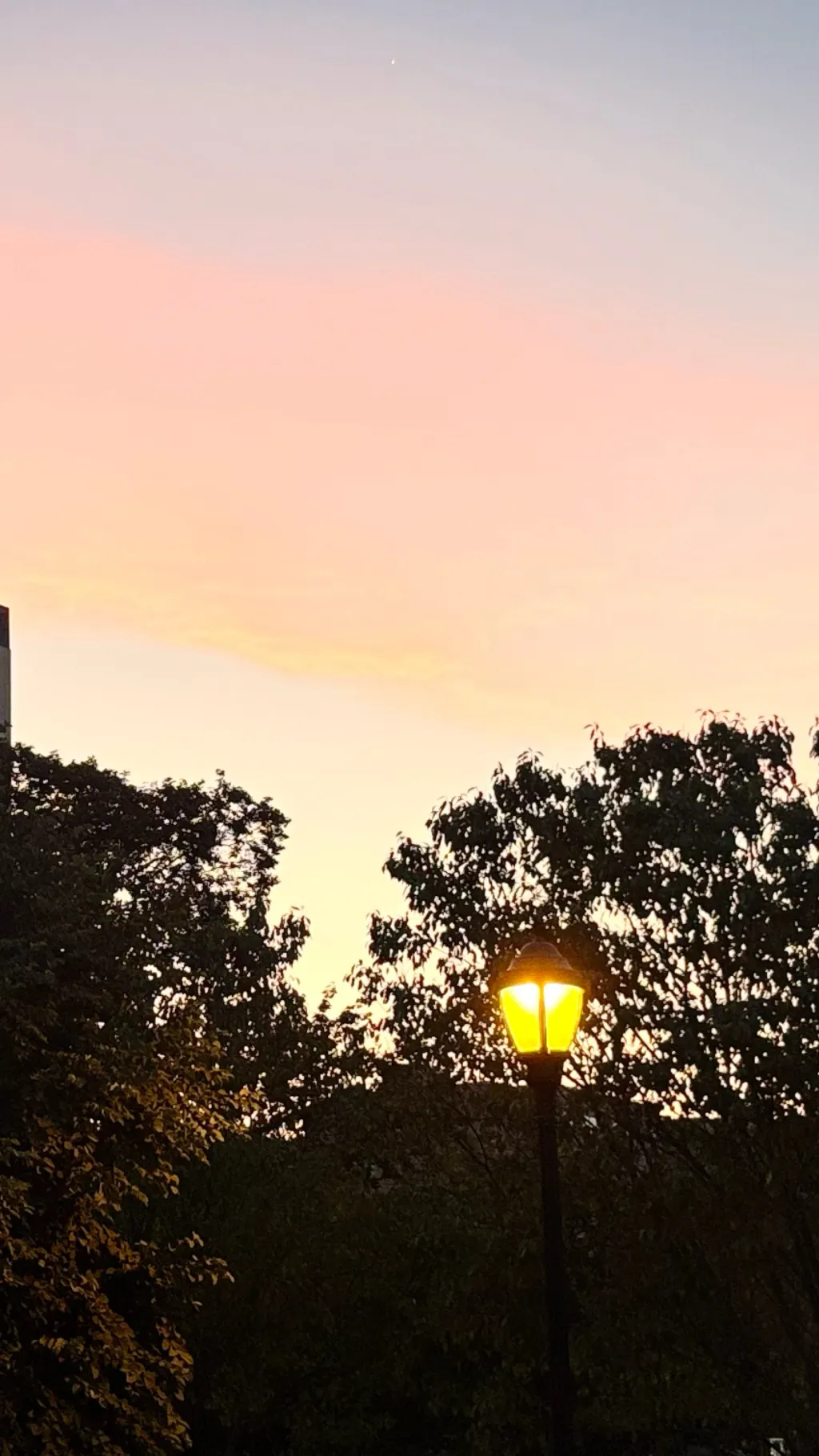 ai character: Crk! :3 background