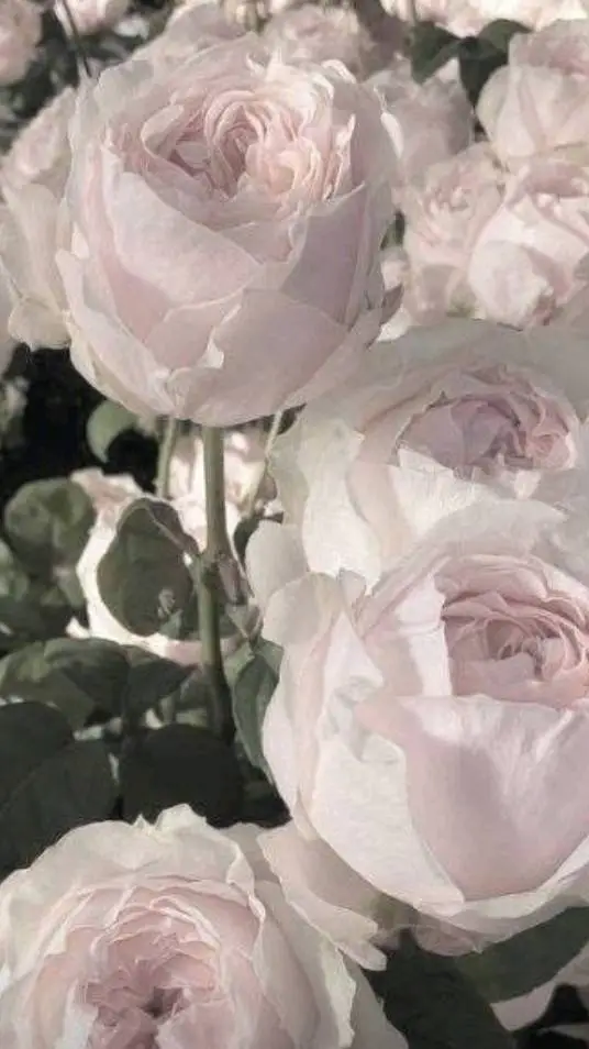 ai character: safe place background