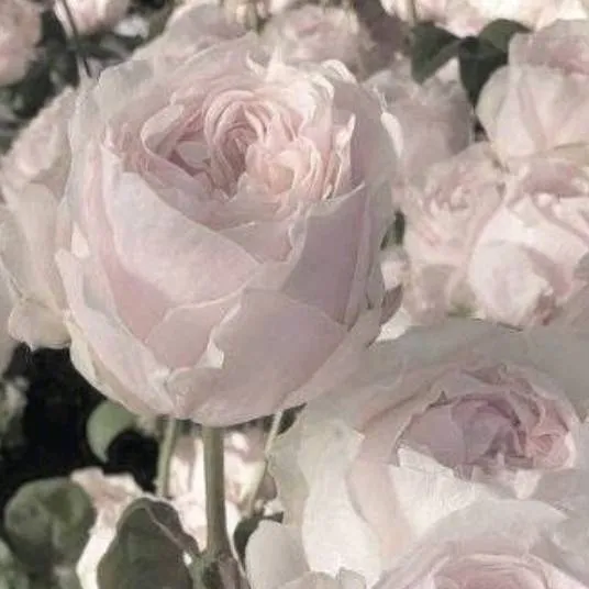 chat with ai character: safe place