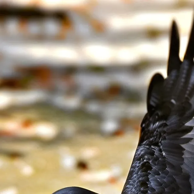 chat with ai character: Crow