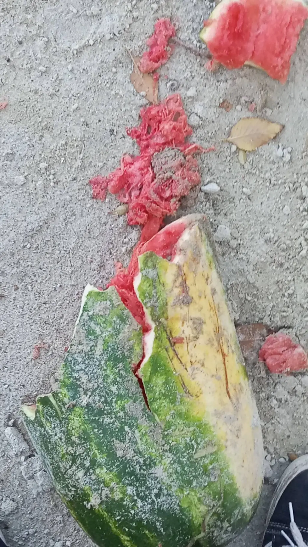 ai character: МатьАрбуз background