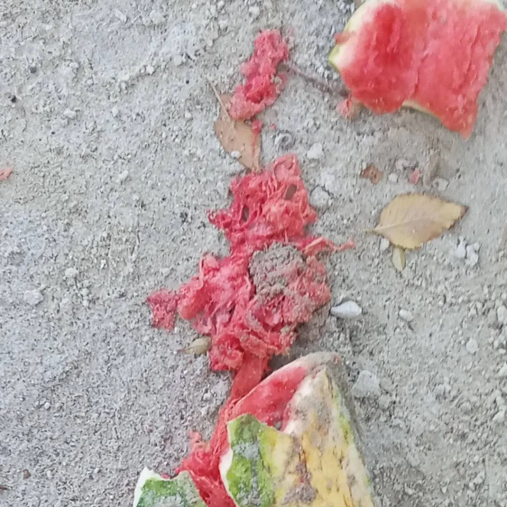 chat with ai character: МатьАрбуз