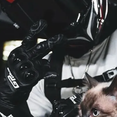 chat with ai character: Luke