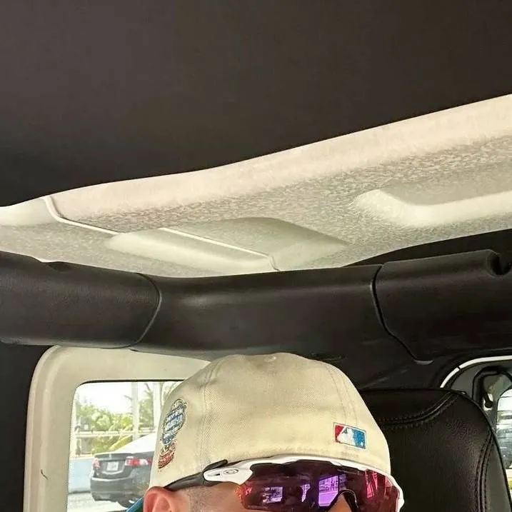 chat with ai character: ROZ