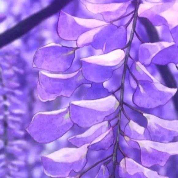 chat with ai character: KNY te ama(amistad