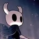 chat with ai character: hollow knight 