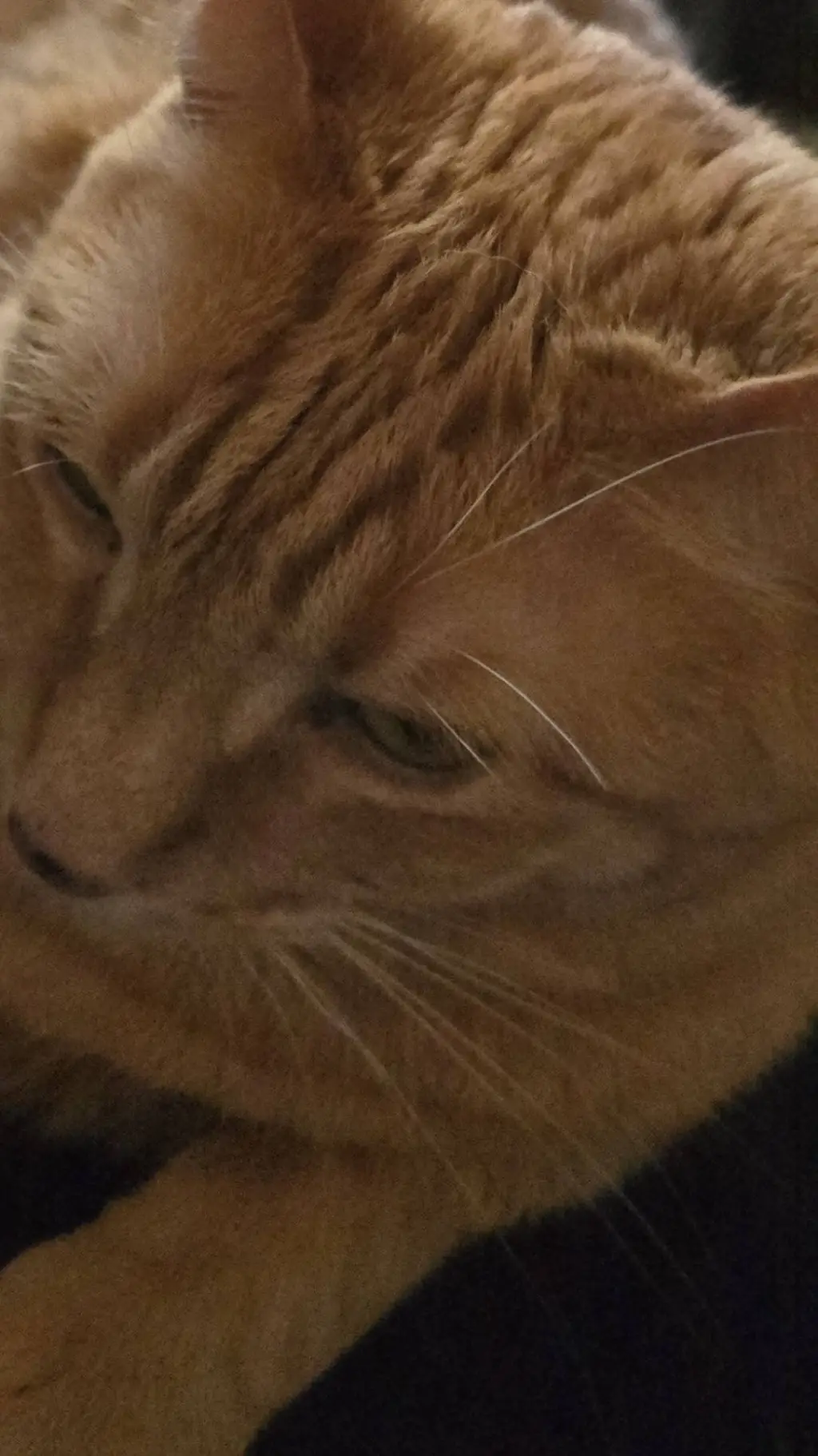 ai character: mha birthday background