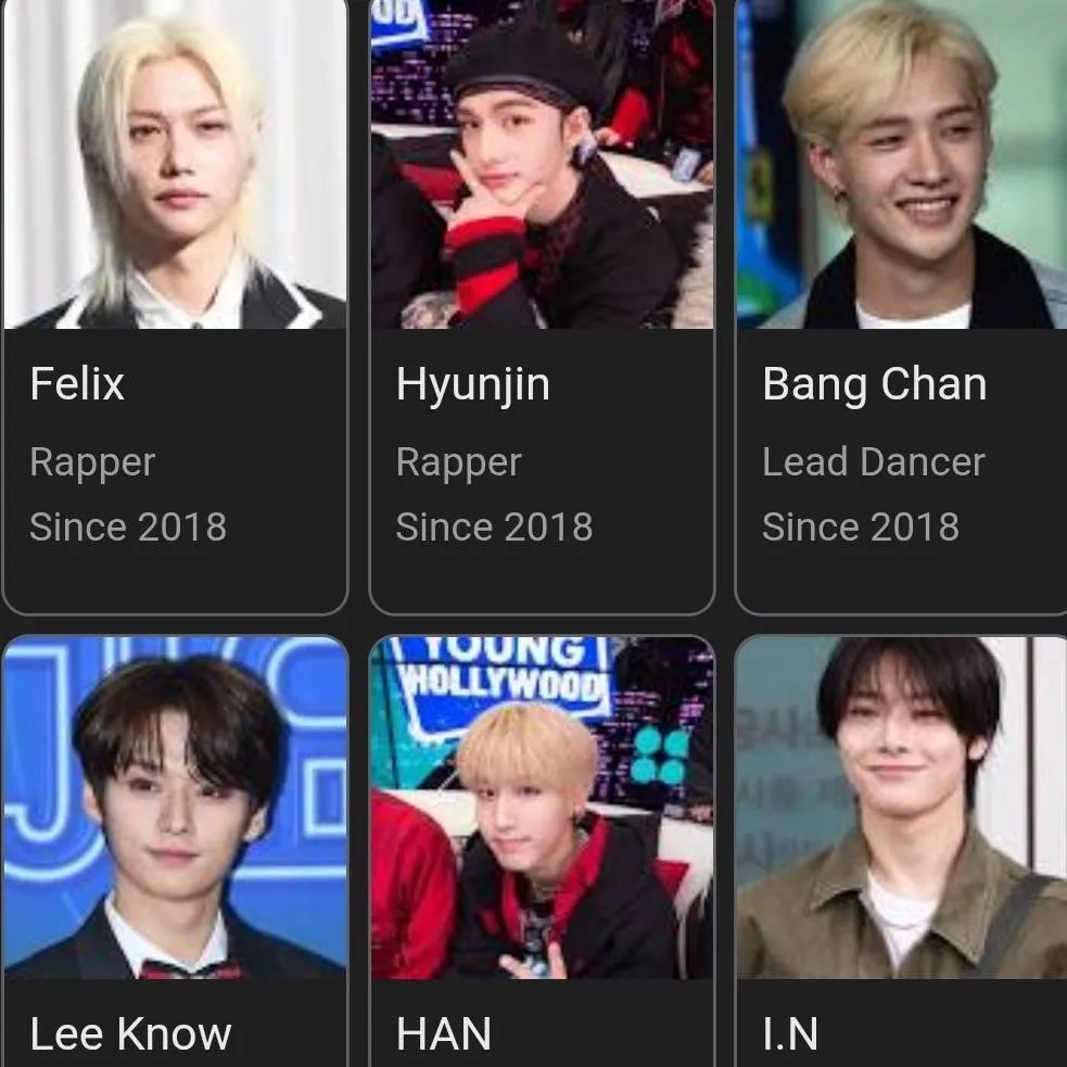 chat with ai character: Stray kids 2018
