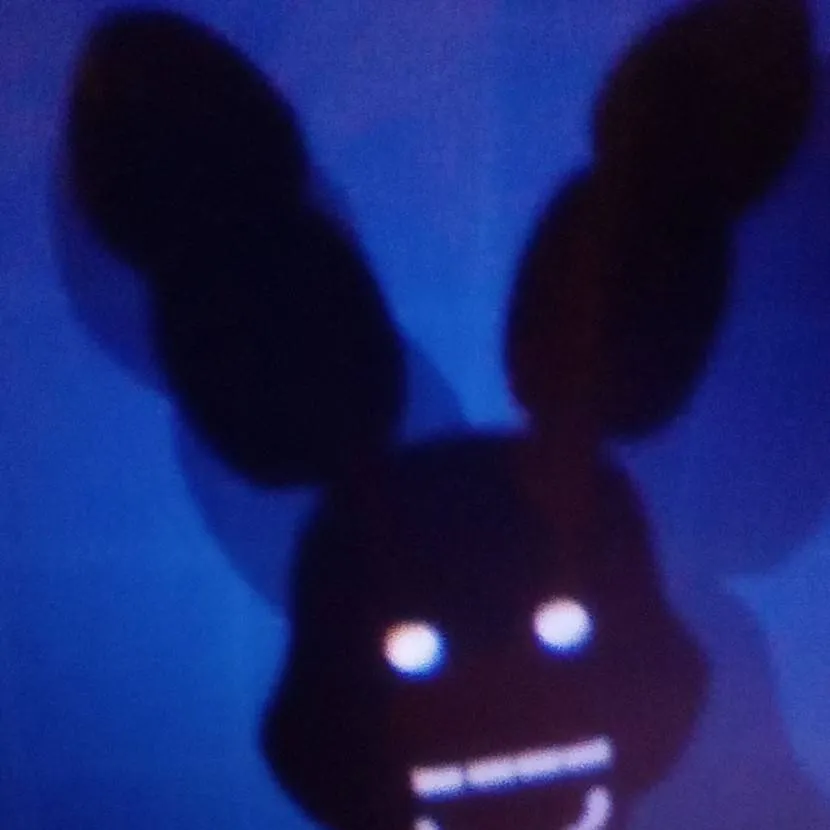 chat with ai character: Shadow bonnie 