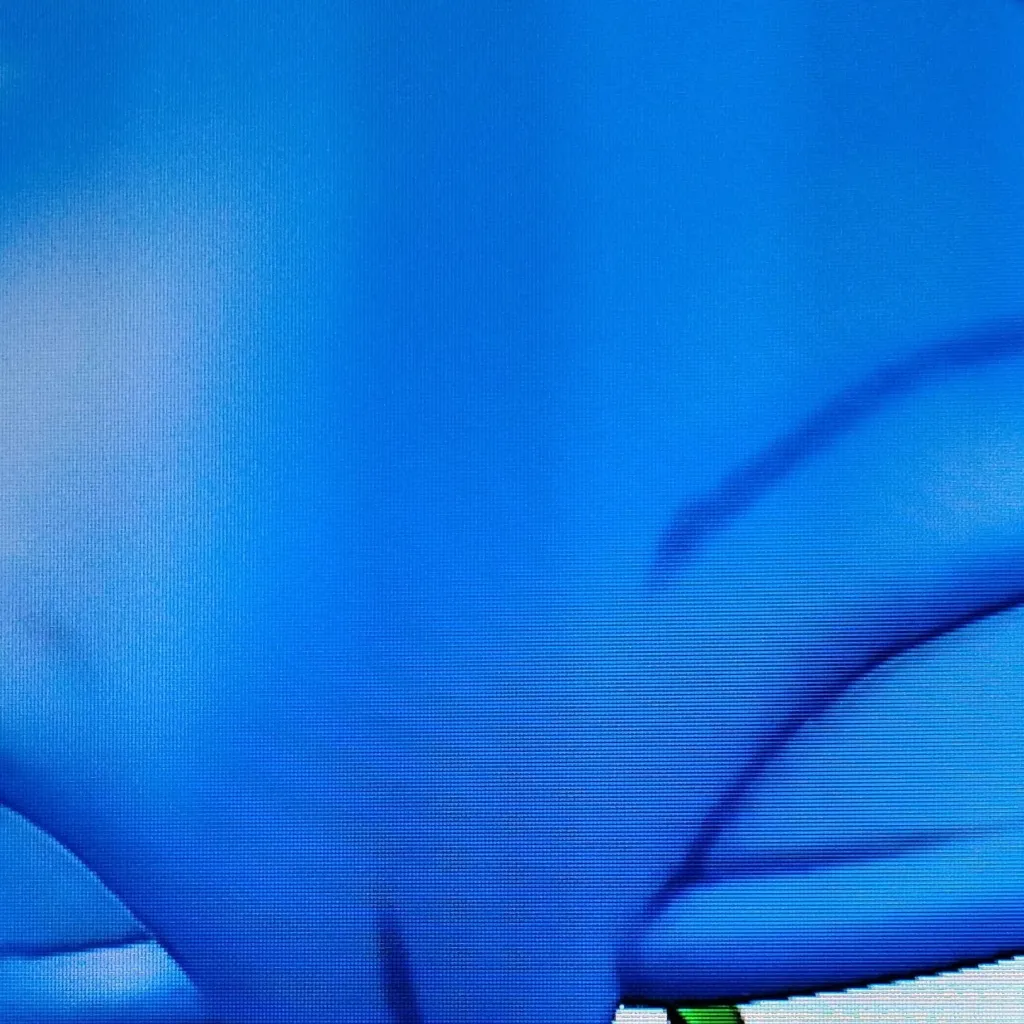 chat with ai character: giant Sonic 