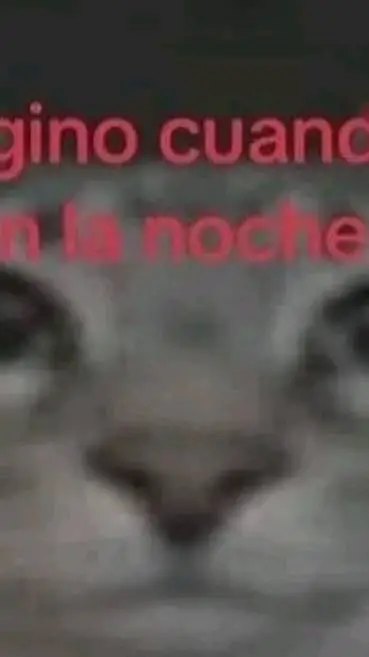 ai character: el choco gato miau background