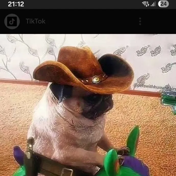 chat with ai character: el comisario juan🤠