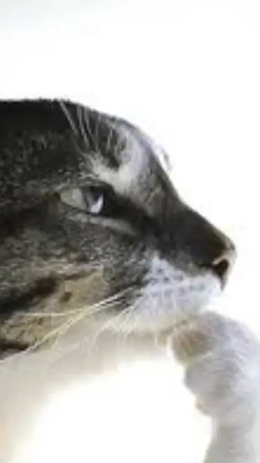 ai character: md meets ? background