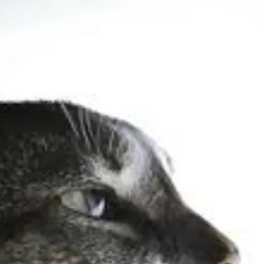 chat with ai character: md meets ?