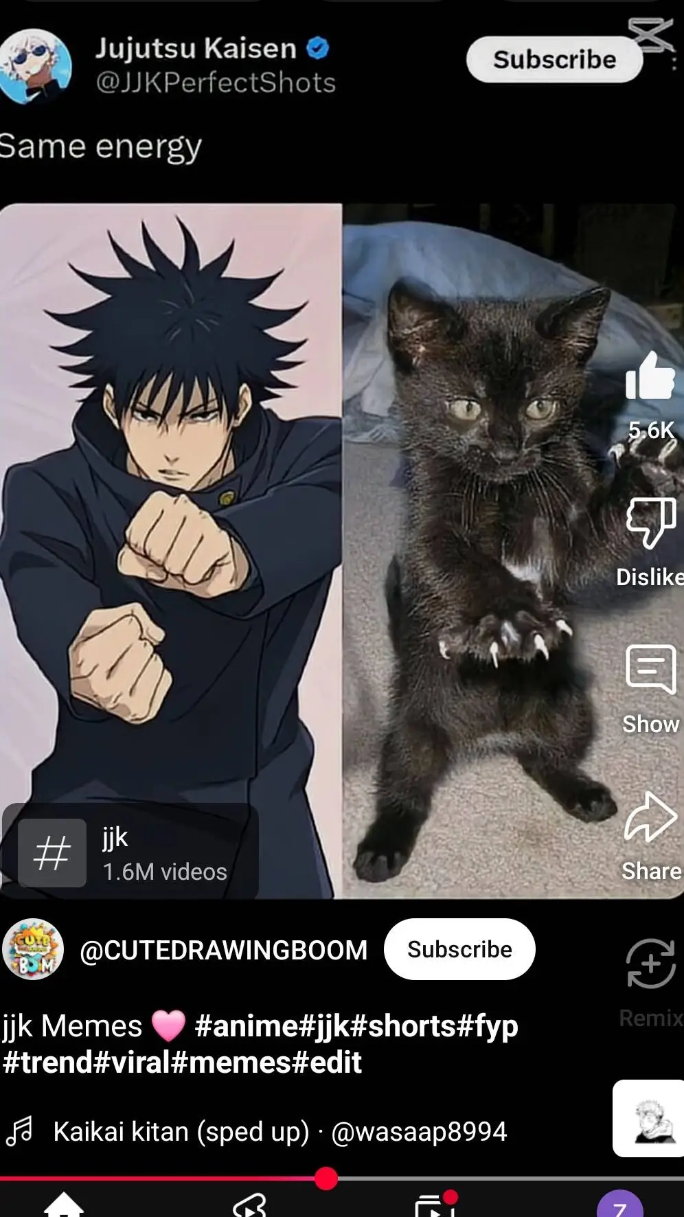ai character: megumi cat background
