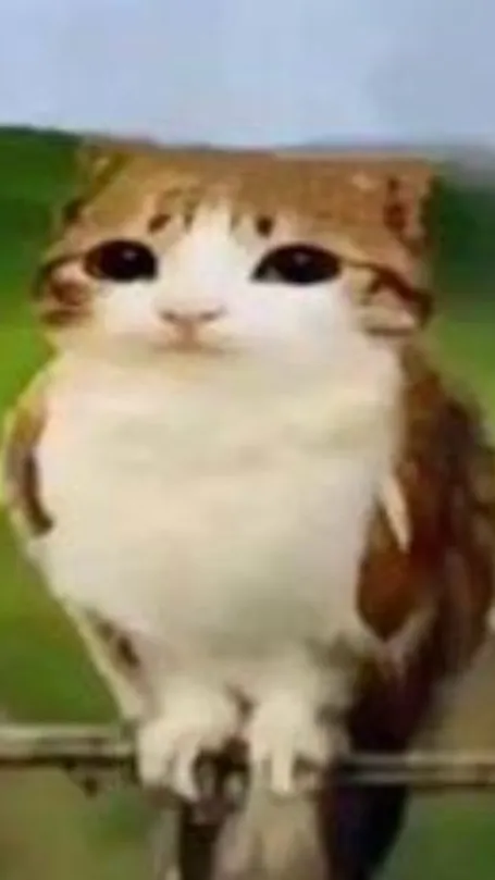 ai character: Meowl background