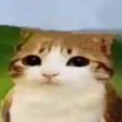 chat with ai character: Meowl