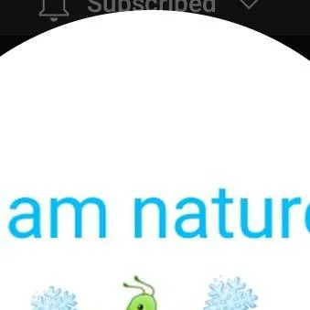 chat with ai character: just a normal taco