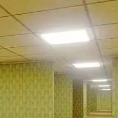 chat with ai character: freaky backrooms