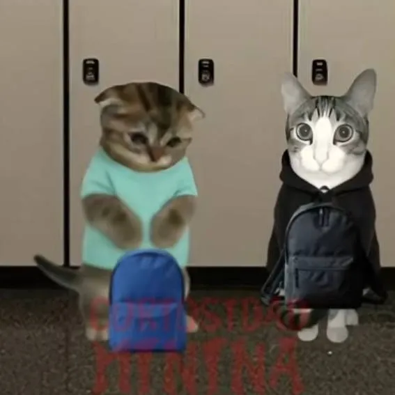 chat with ai character: pancho x miguel