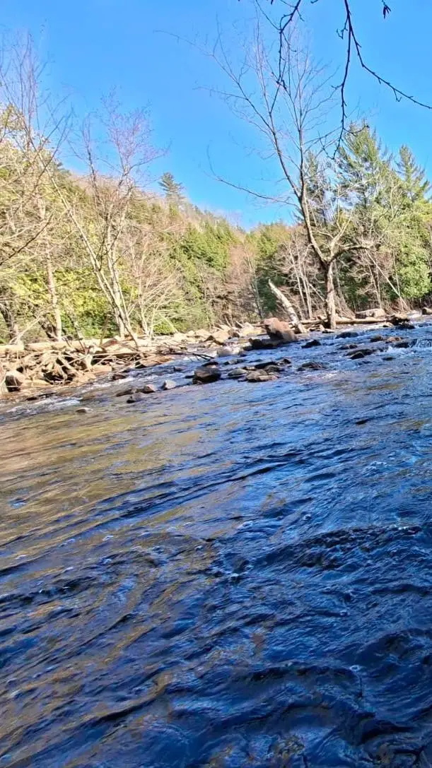 ai character: river background