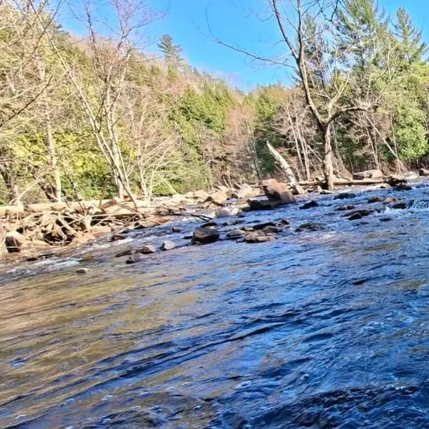 chat with ai character: river