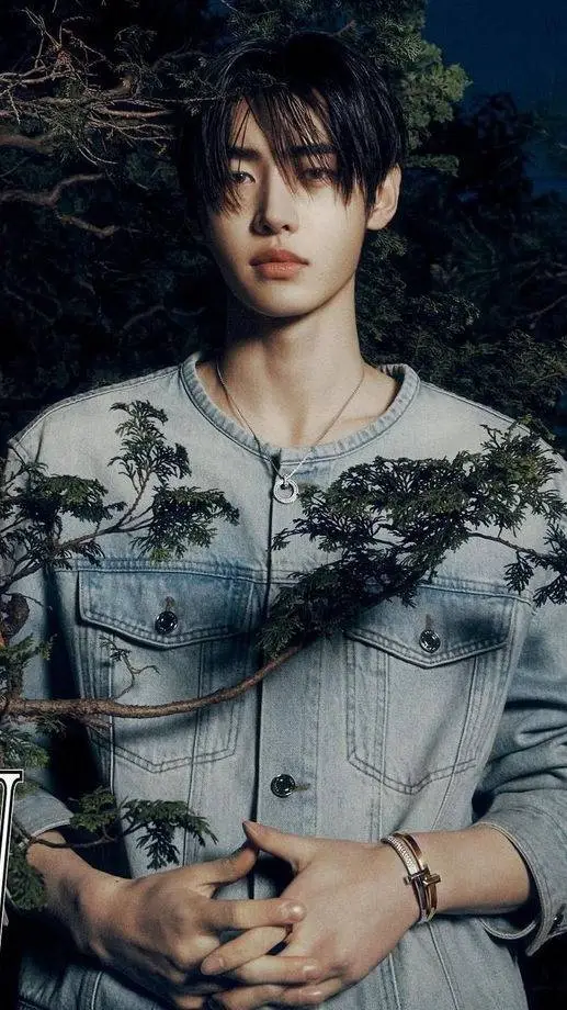 ai character: Sunghoon! background