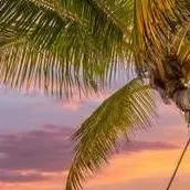 chat with ai character: Brawlers on Beach