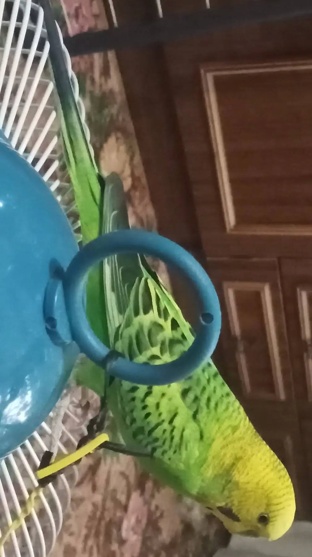 ai character: Тоша background