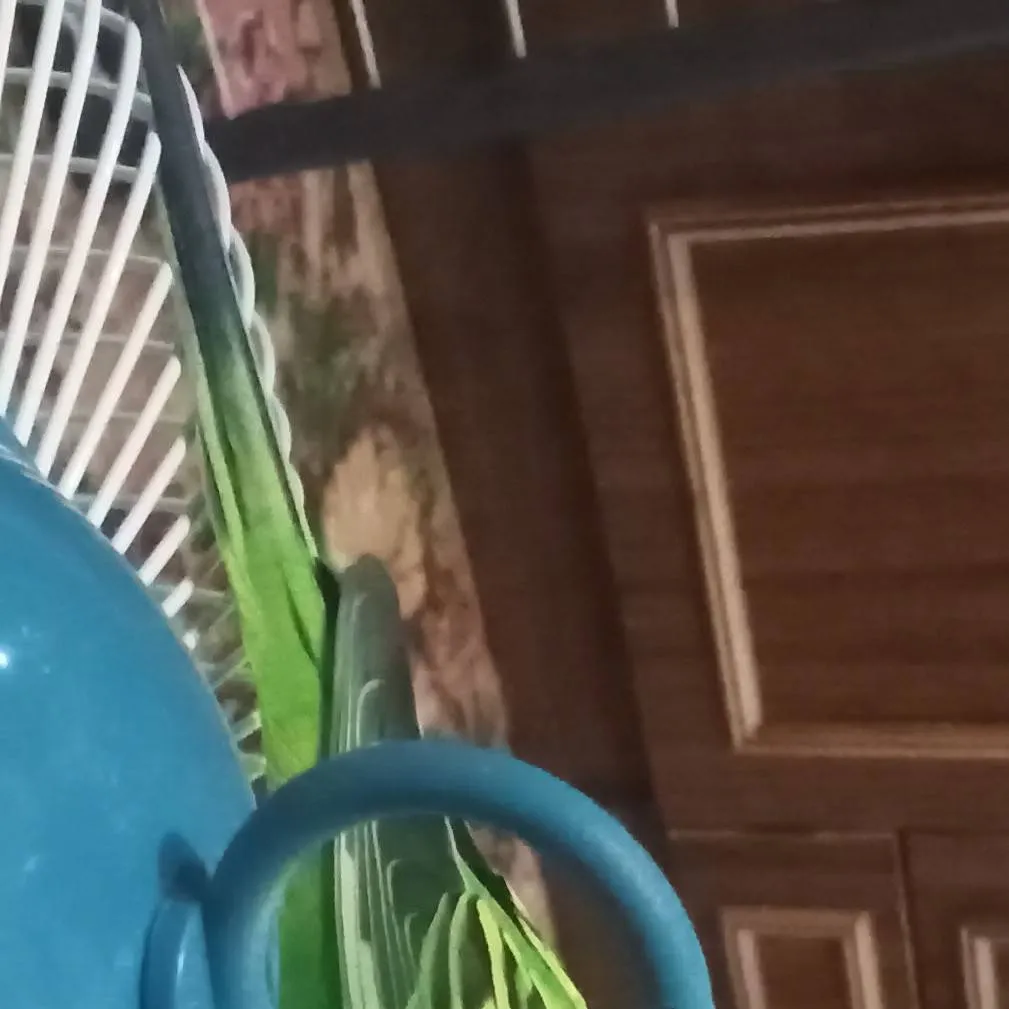 chat with ai character: Тоша