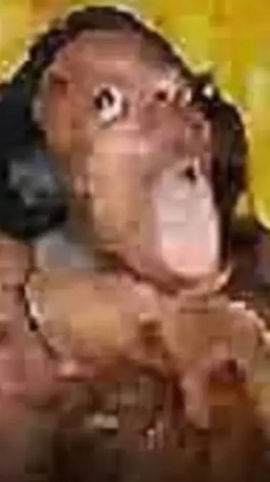 ai character: que te importa XDD background