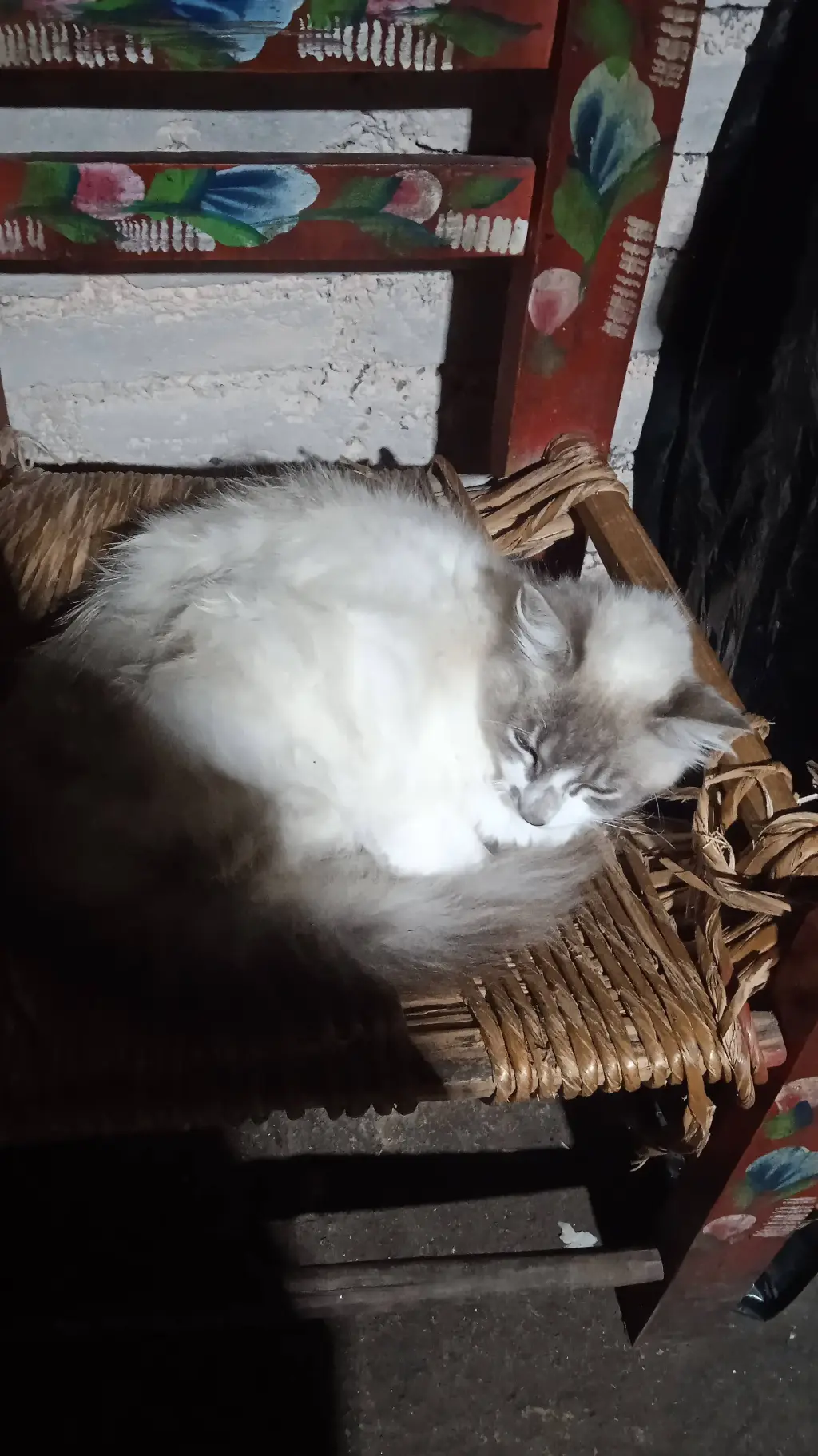 ai character: MI gata background