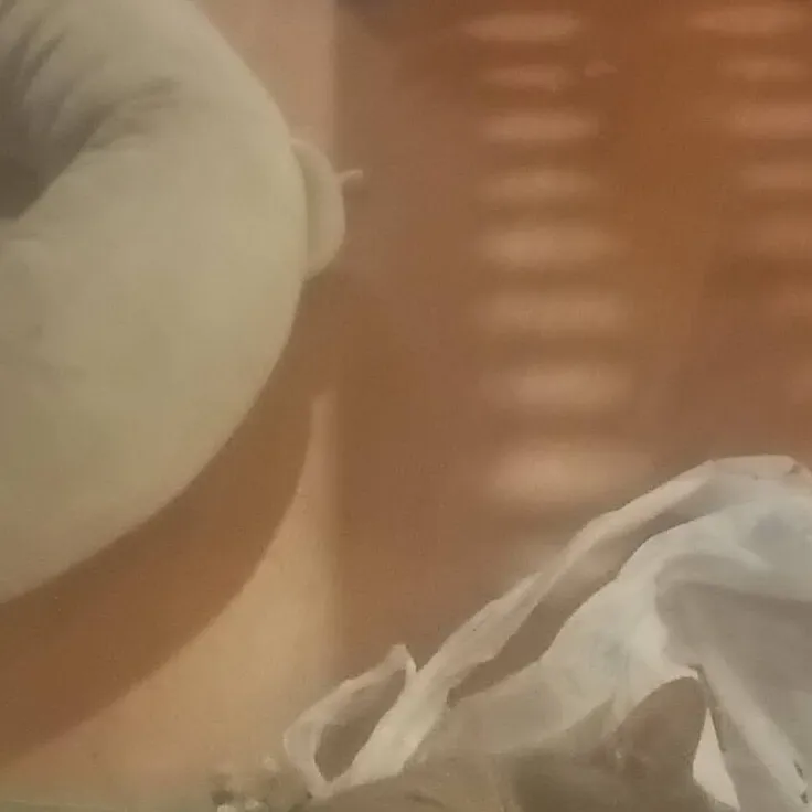 chat with ai character: Yuki