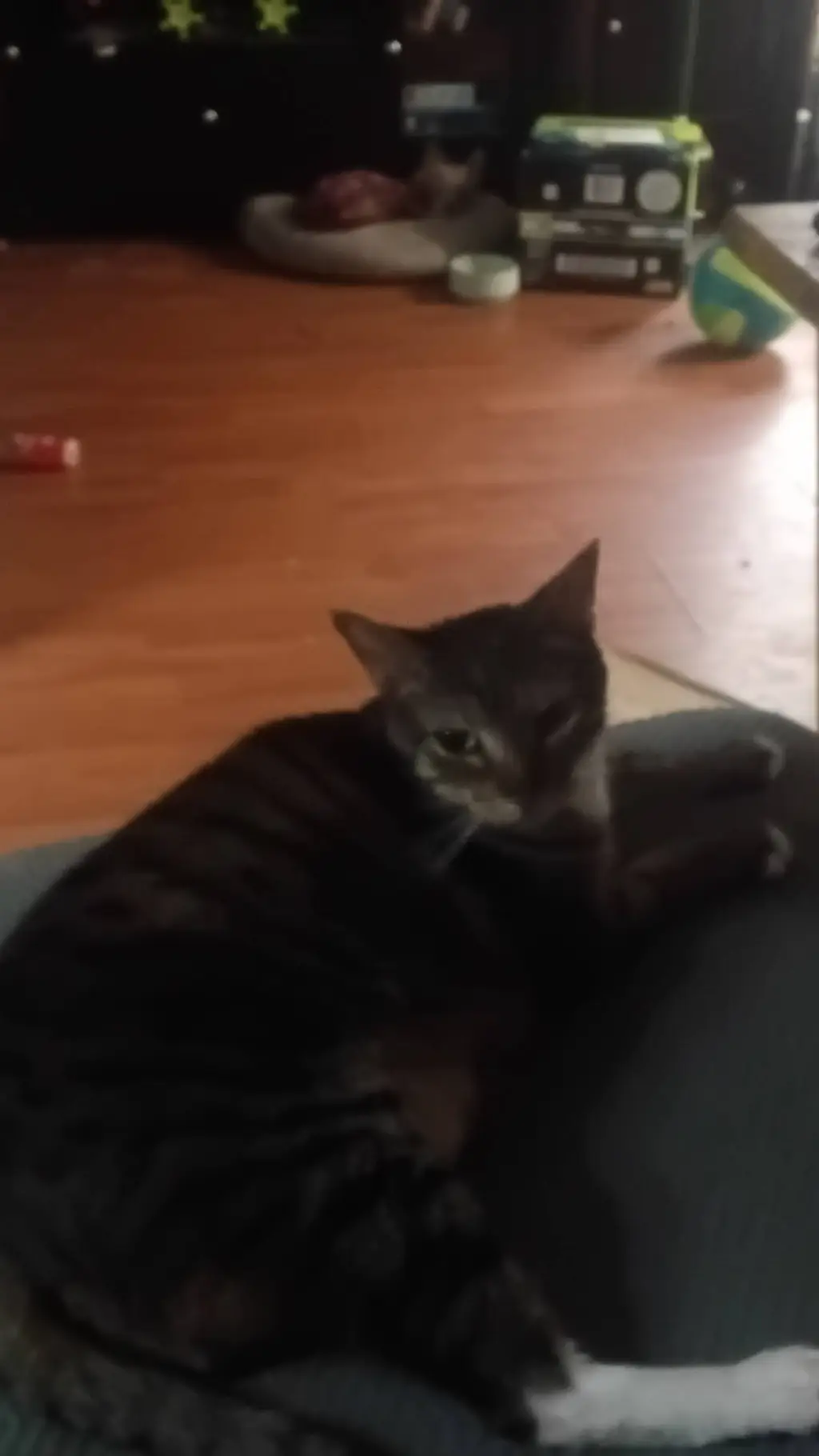 ai character: thomas background