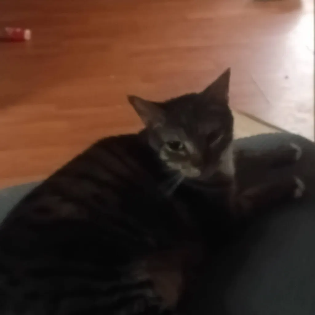 chat with ai character: thomas