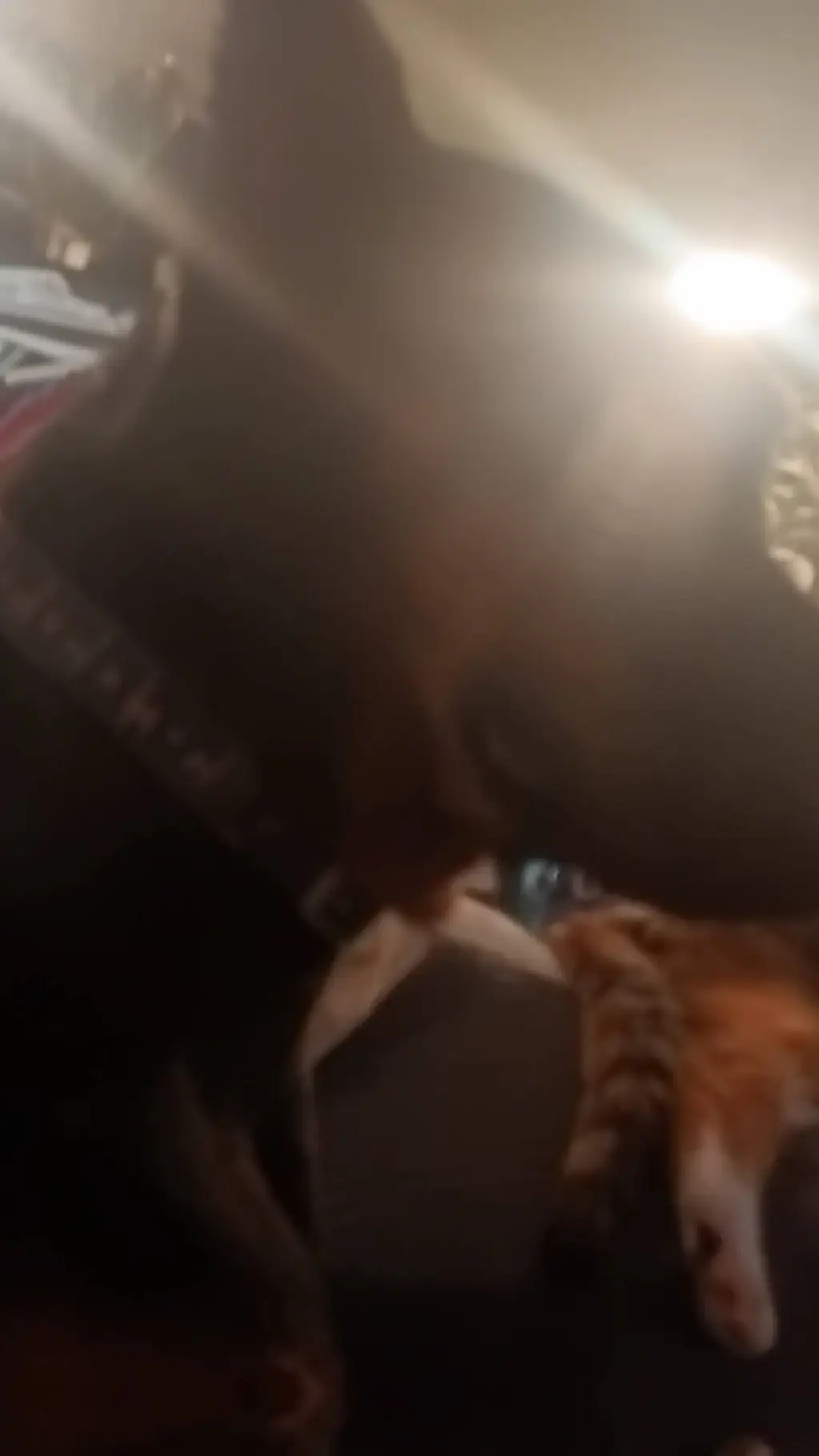 ai character: Couch London background