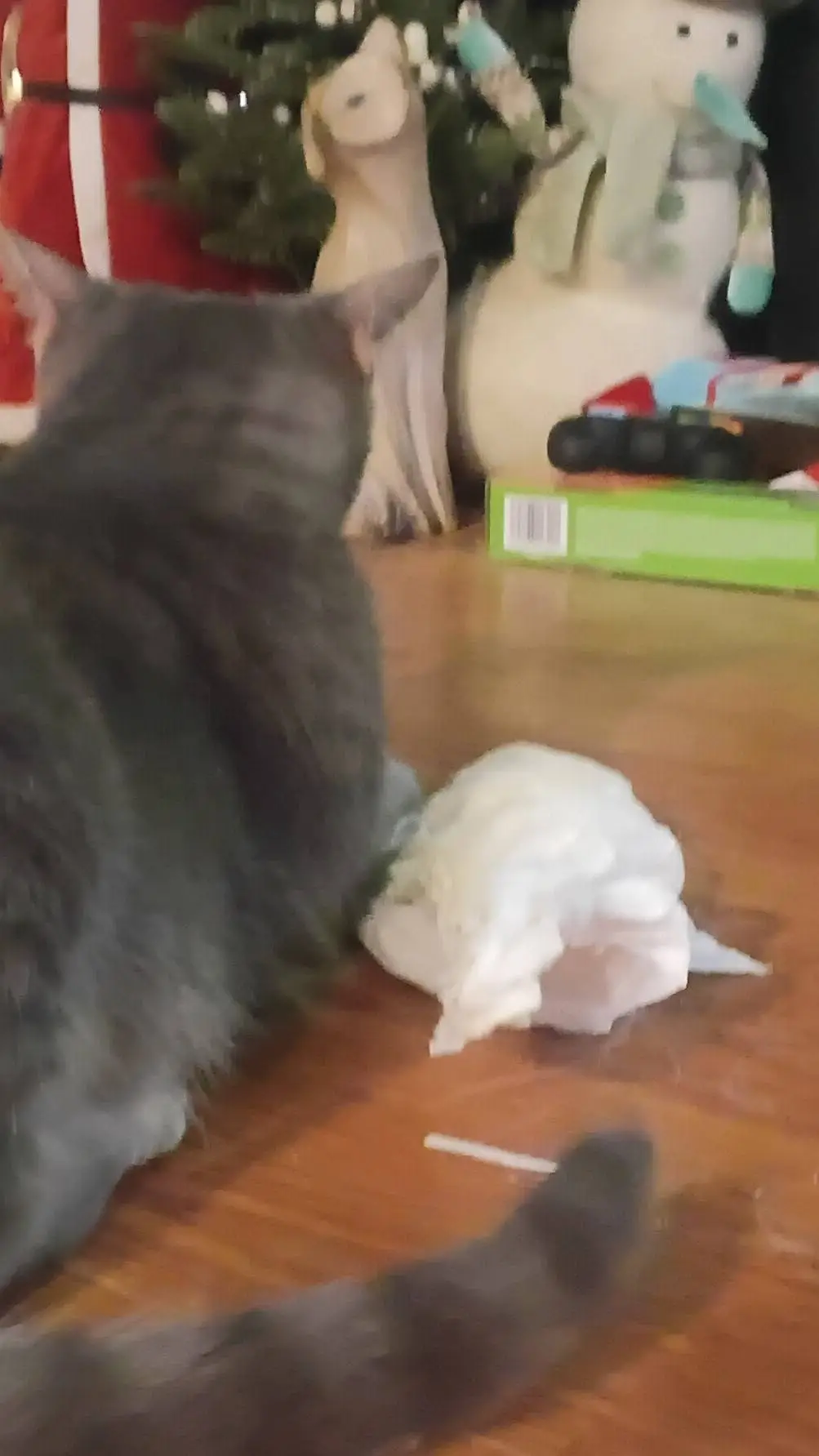 ai character: Napkin Yuki background