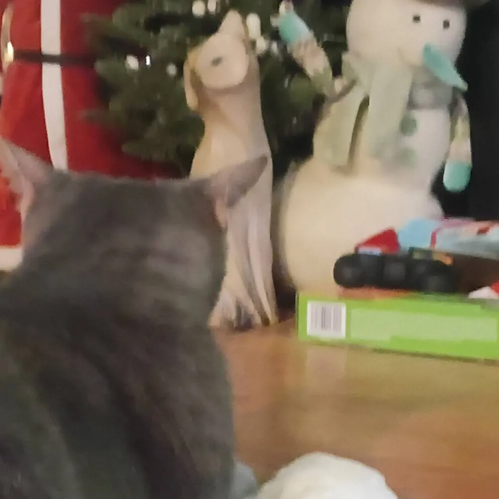 chat with ai character: Napkin Yuki