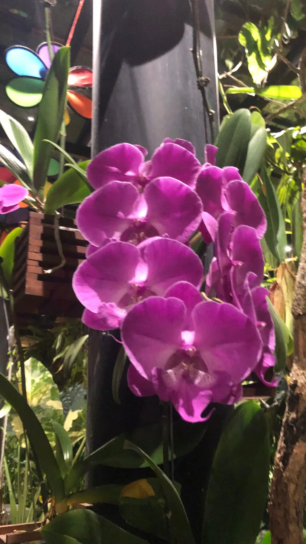 ai character: Stress reliever  background